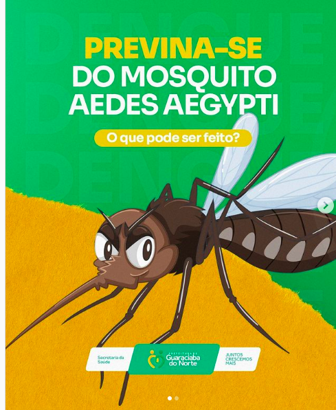 Dengue, zika e chikungunya